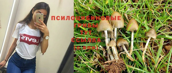 тгк Алексеевка