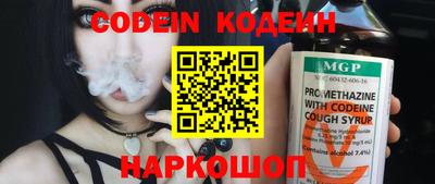 apvp Кингисепп