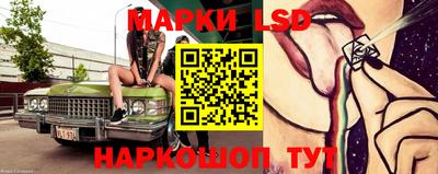 apvp Кингисепп