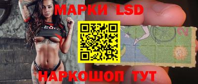 apvp Кингисепп
