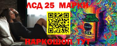 apvp Кингисепп