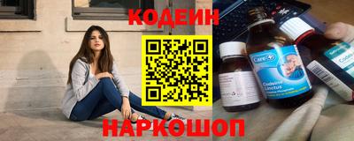 apvp Кингисепп