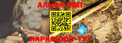 apvp Кингисепп