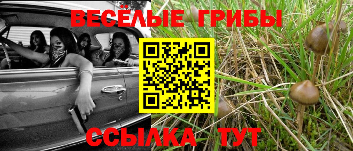 Котельники  Псилоцибиновые грибы мицелий  Вход с VPN  Галлюциногенные грибы Psilocybine cubensis 